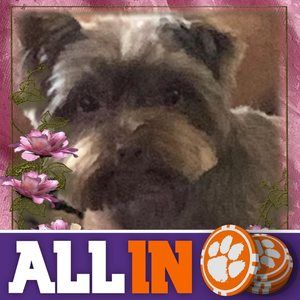 Meet your Posher, Janet